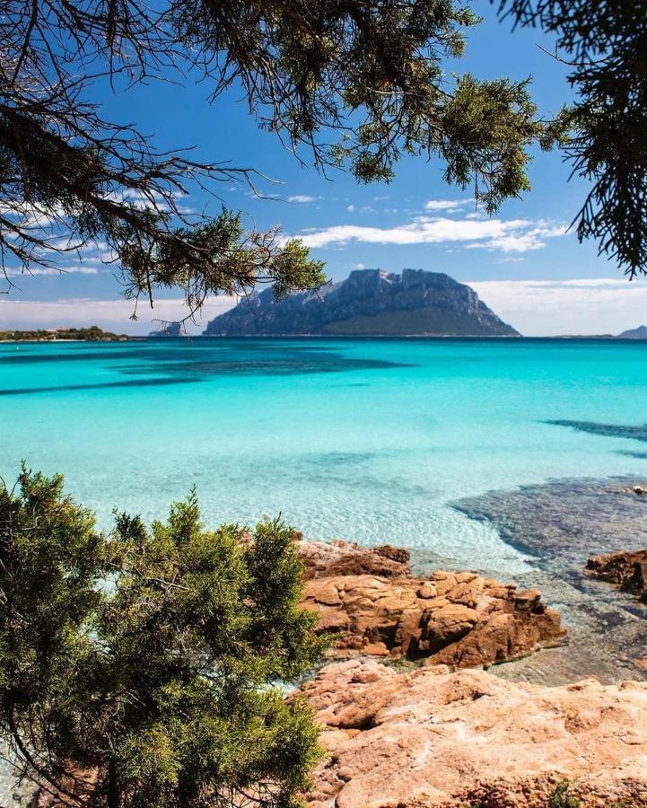 Porto Istana Beach House Olbia Zewnętrze zdjęcie